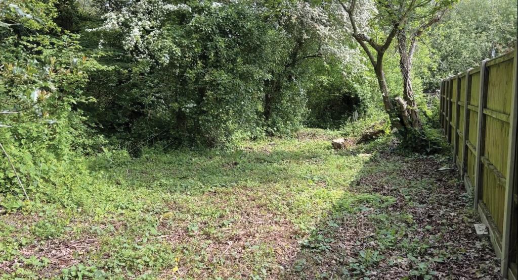 Lot: 17 - TWO-BEDROOM COTTAGE IN NEED OF IMPROVEMENT - Garden view of Cottage in need of improvement in Pooksgreen